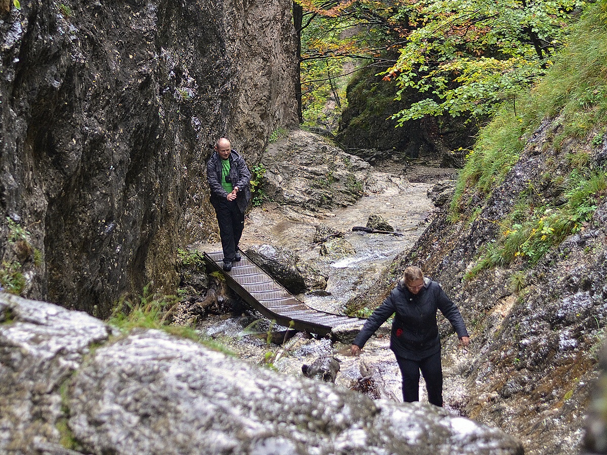 15 - starý Švejk a paní Švejková