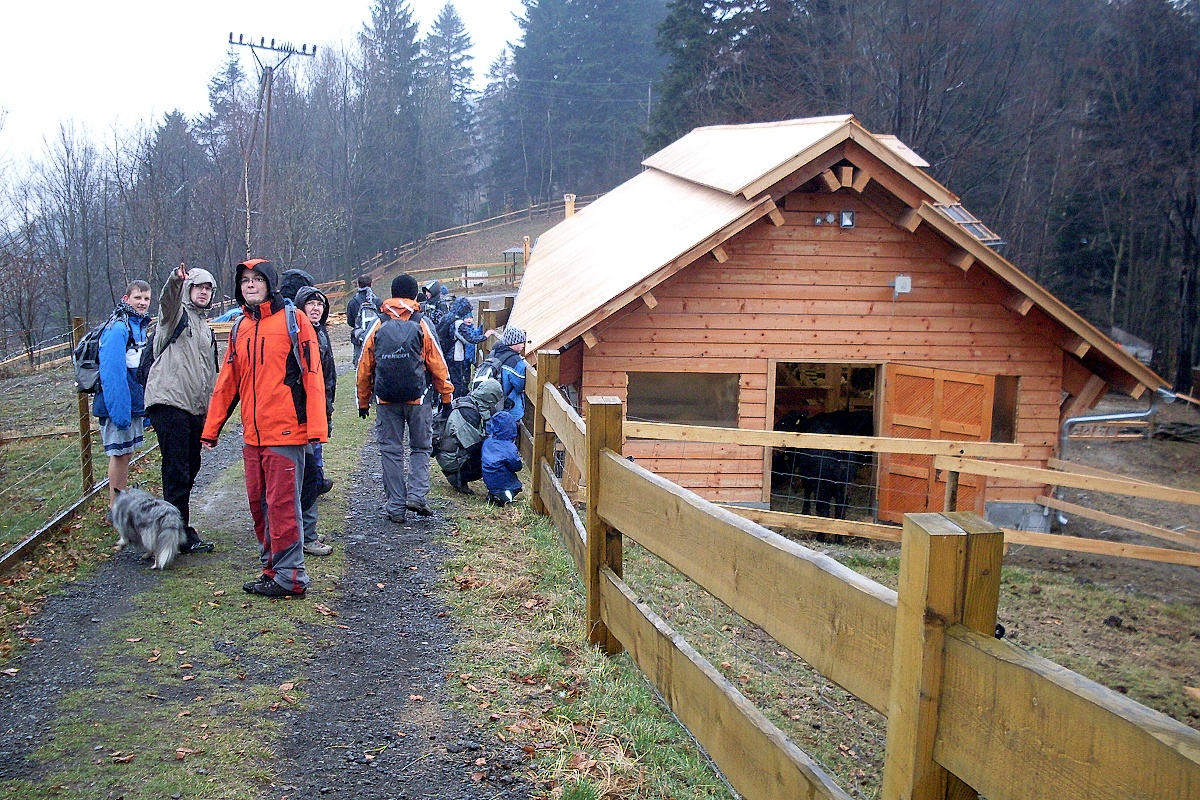 28 - chlévy pod rozcestníkem Klondajku. Uvnitř kravky, ovce a „bagouni“ - chlupatá prasátka.