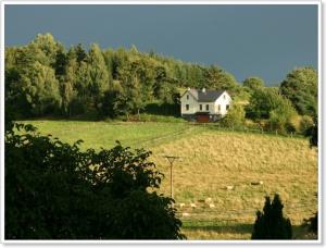 Krajina po bouři - ovce nechtějí domů. Foto Kassa